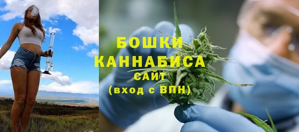 Альфа ПВП Бородино