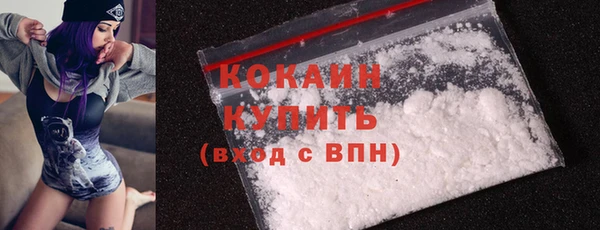 Альфа ПВП Бородино
