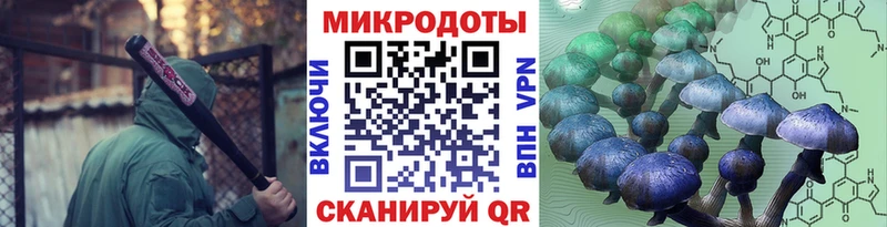 Псилоцибиновые грибы GOLDEN TEACHER  Далматово 